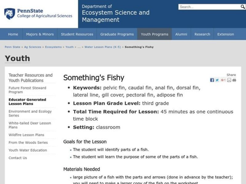 Something's Fishy Lesson Plan