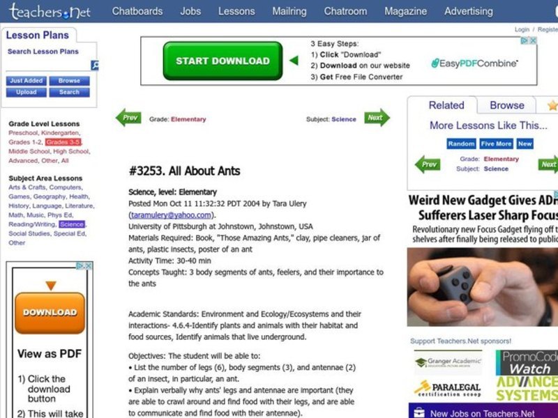 All About Ants Lesson Plan