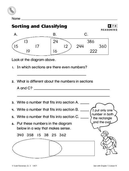 Sorting and Classifying Organizer