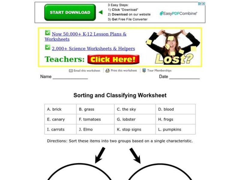 Sorting and Classifying Worksheet Organizer