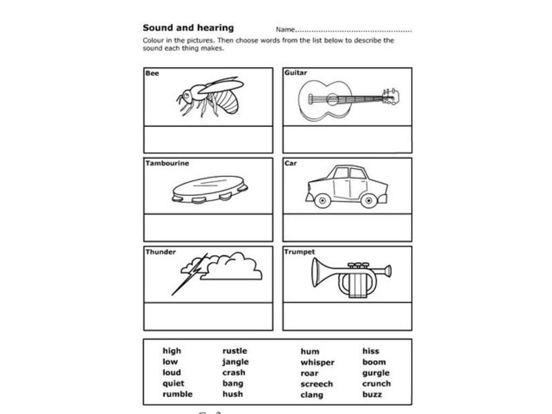 Sound and Hearing Worksheet