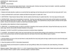 Spider body parts Lesson Plan