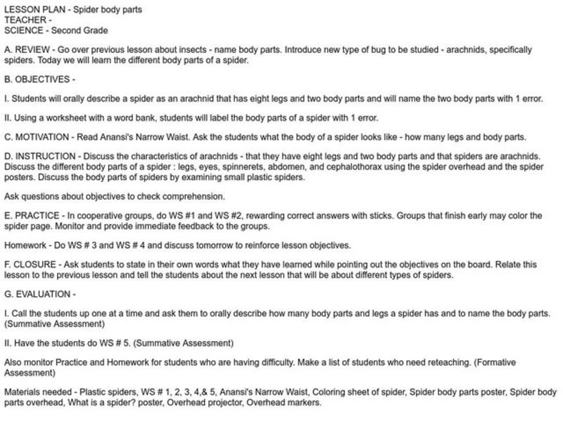 Spider body parts Lesson Plan