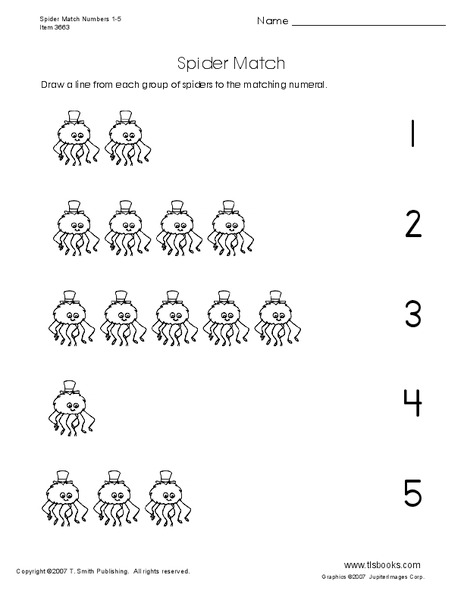 Spider Match Worksheet