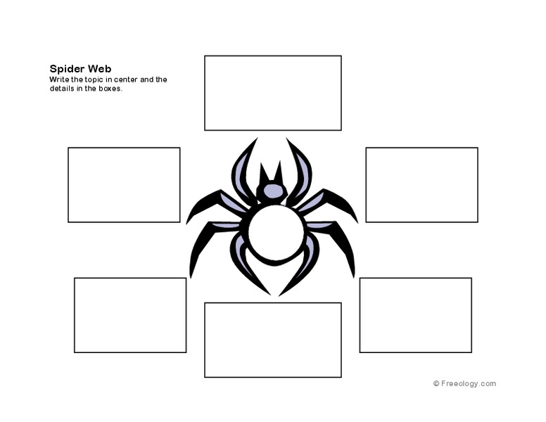 Spider Web Organizer