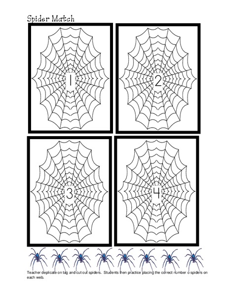 Spider Match Lesson Plan