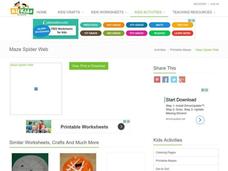 Spider Web Maze Worksheet
