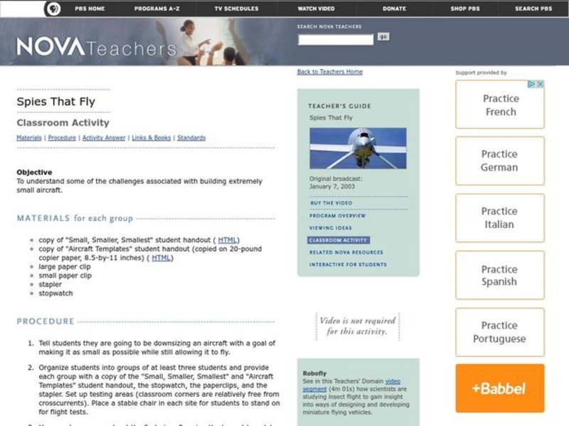 Spies That Fly Lesson Plan