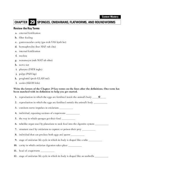 Sponges, Cnidarians, Flatworms, and Roundworms Worksheet