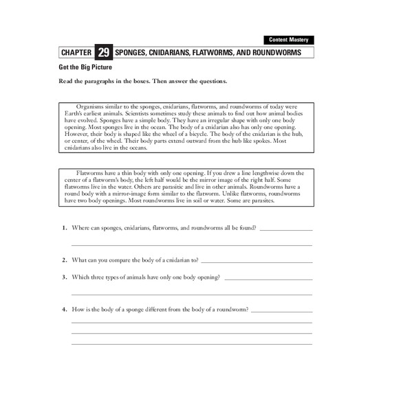 Sponges, Cnidarians, Flatworms, and Roundworms Worksheet