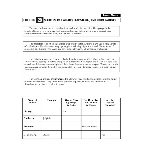 Sponges, Cnidarians, Flatworms, and Roundworms Worksheet