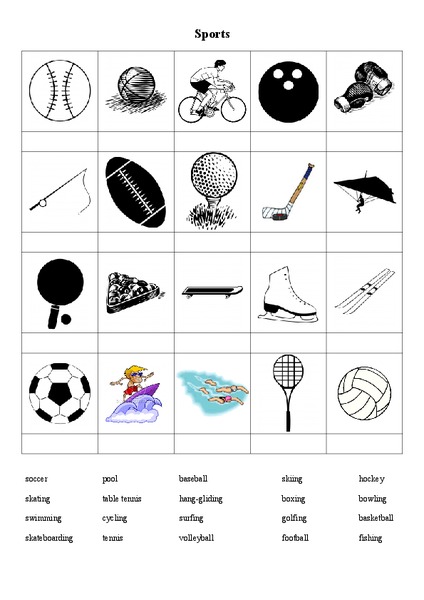 Sports Worksheet