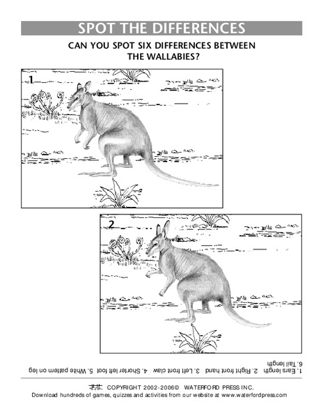 Spot the Differences Lesson Plan