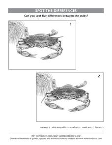 Spot the Differences Lesson Plan