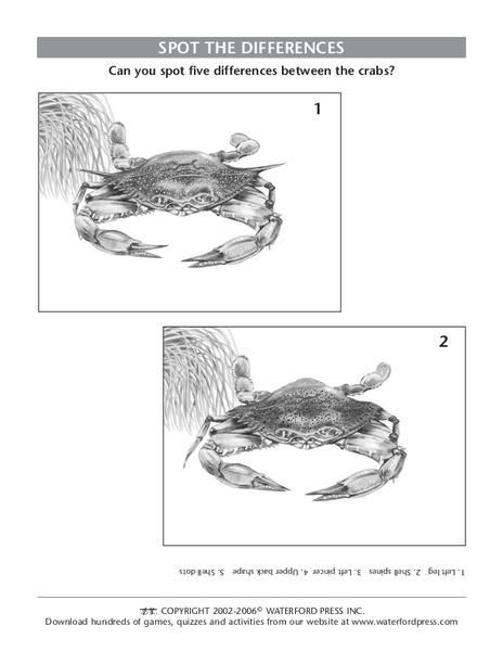 Spot the Differences Lesson Plan
