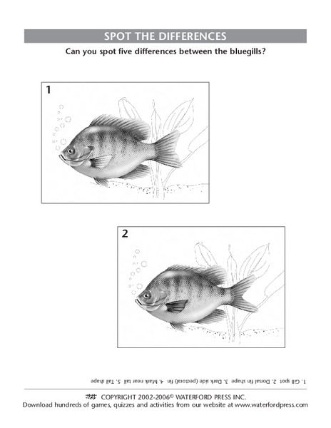 Spot the Differences Lesson Plan