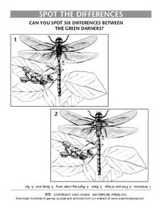 Spot the Differences Lesson Plan