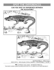 Spot the Differences Lesson Plan