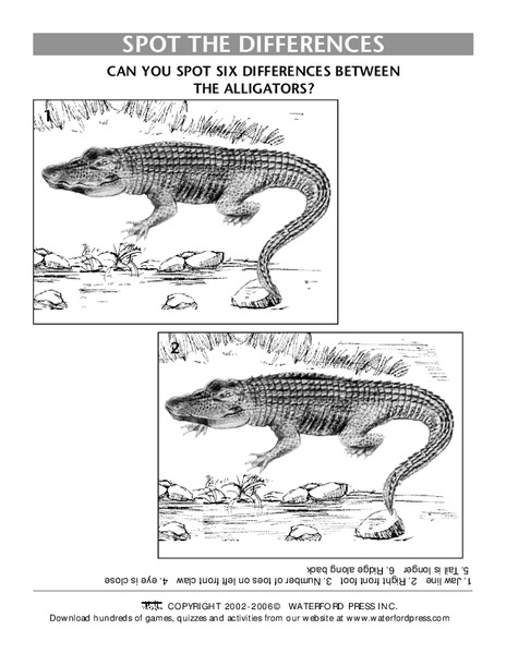 Spot the Differences Lesson Plan