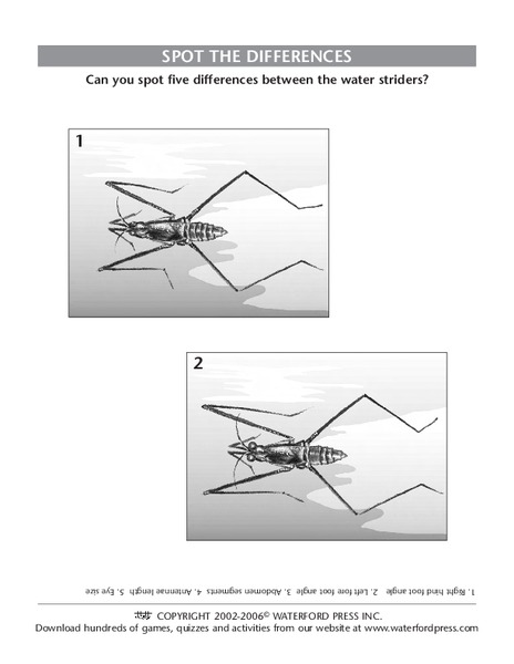 Spot the Differences Lesson Plan