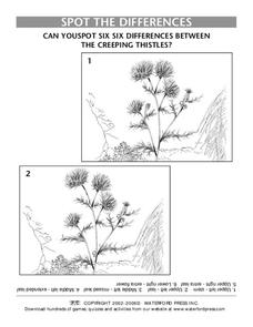 Spot the Differences Lesson Plan
