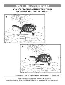 Spot the Differences Lesson Plan