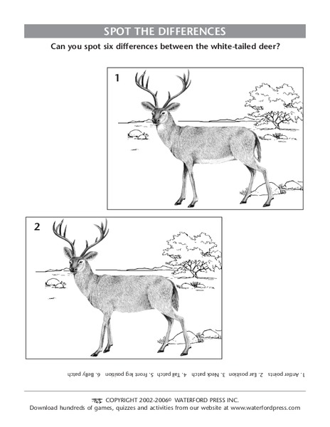 Spot the Differences Lesson Plan