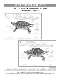 Spot the Differences Worksheet