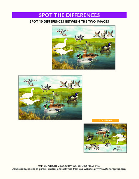 Spot the Differences Lesson Plan