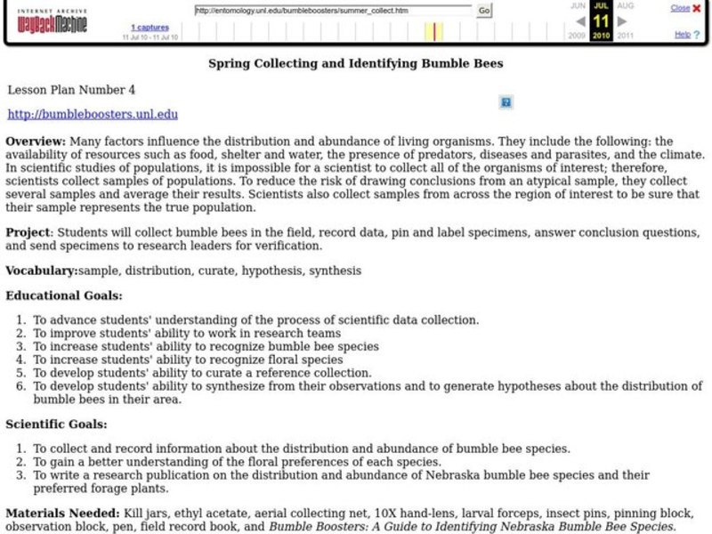 Spring Collecting and Identifying Bumble Bees Lesson Plan