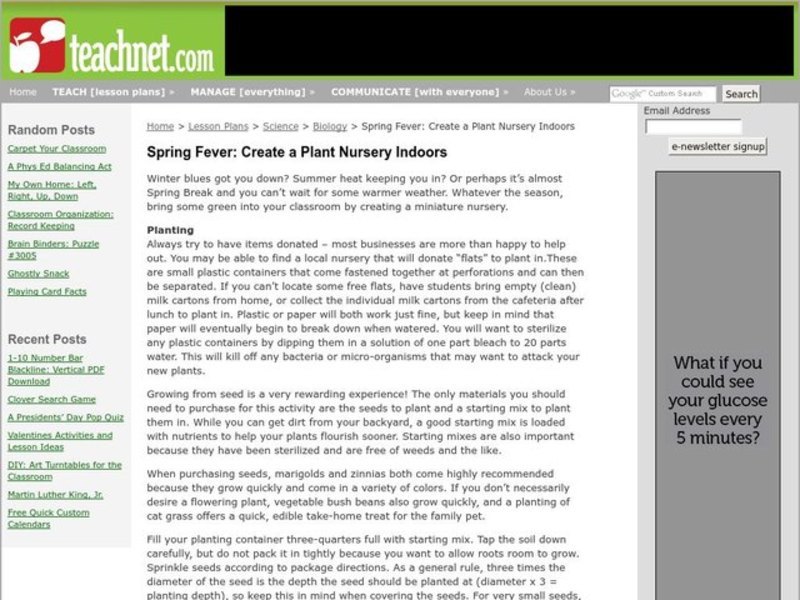 Spring Fever Lesson Plan