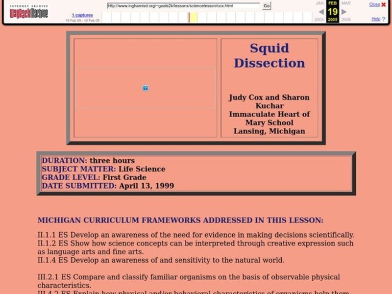 Squid Dissection Lesson Plan