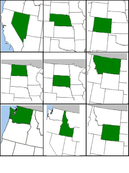 State Cards Worksheet