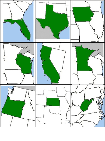 State Cards Worksheet