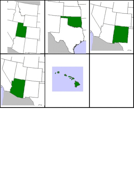 State Cards Worksheet