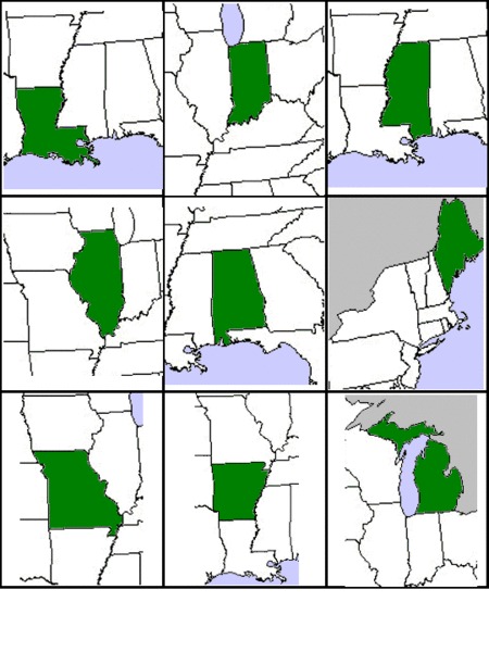 State Cards Worksheet