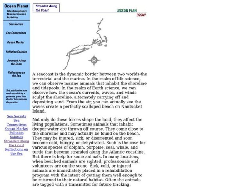Stranded Along The Coast Lesson Plan