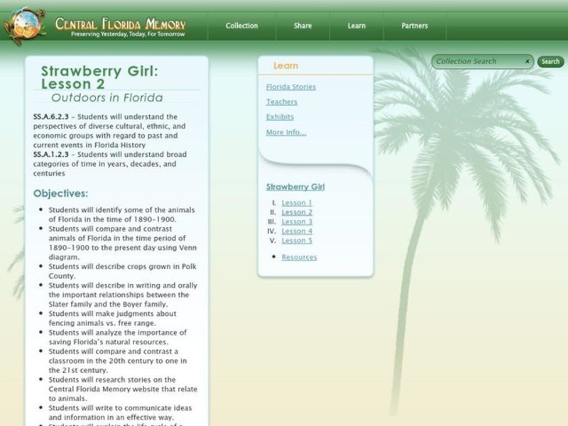 Strawberry Girl: Outdoors in Florida Lesson Plan