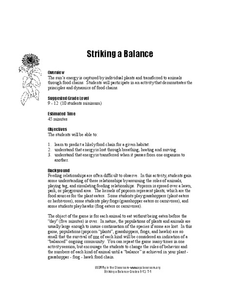 Striking a Balance Lesson Plan