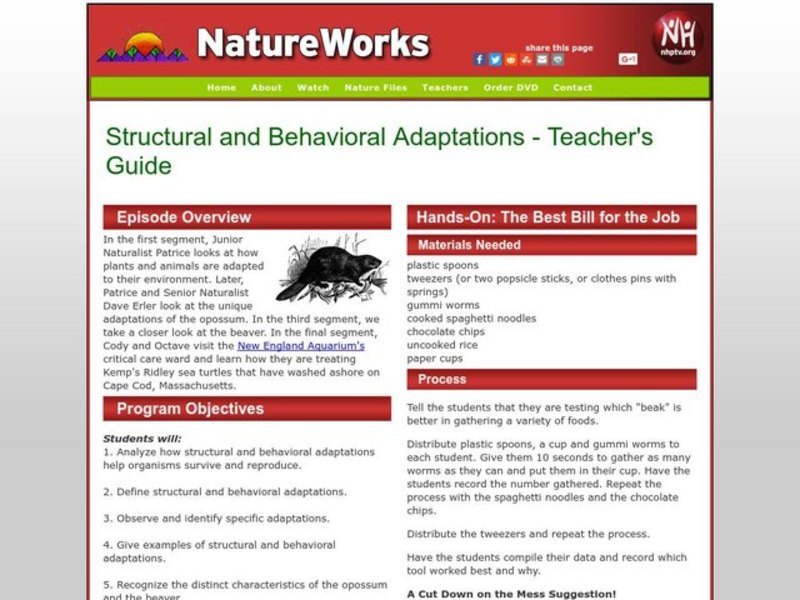 Structural and Behavioral Adaptations Lesson Plan