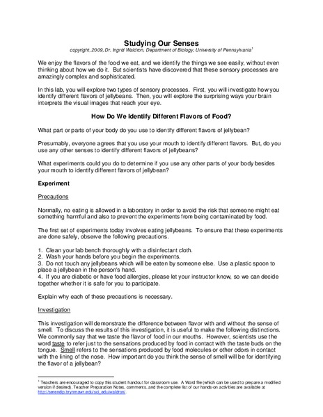 Studying our Senses Worksheet