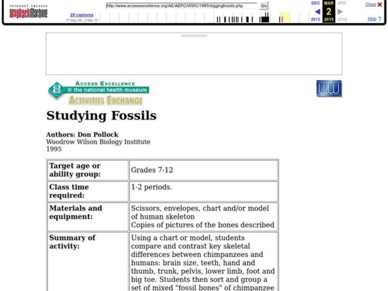 Studying Fossils Lesson Plan