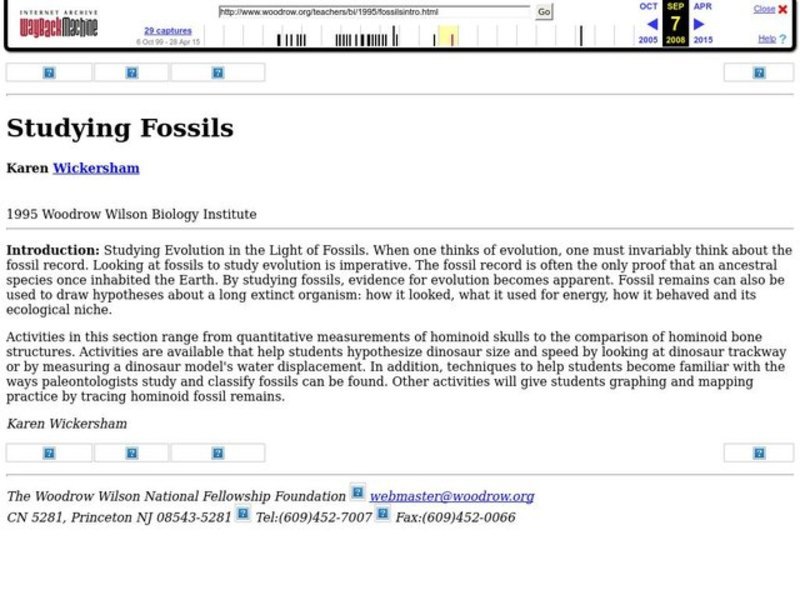 Studying Fossils Lesson Plan