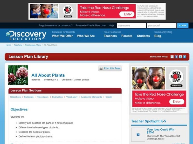 All About Plants Lesson Plan