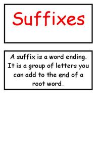Suffixes Organizer