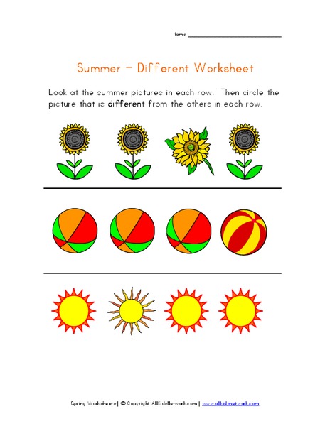Summer - Different Worksheet Worksheet