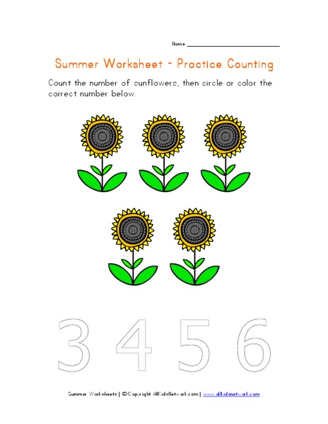 Summer Worksheet - Practice Counting Worksheet