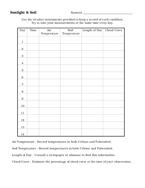 Sunlight & Soil Worksheet
