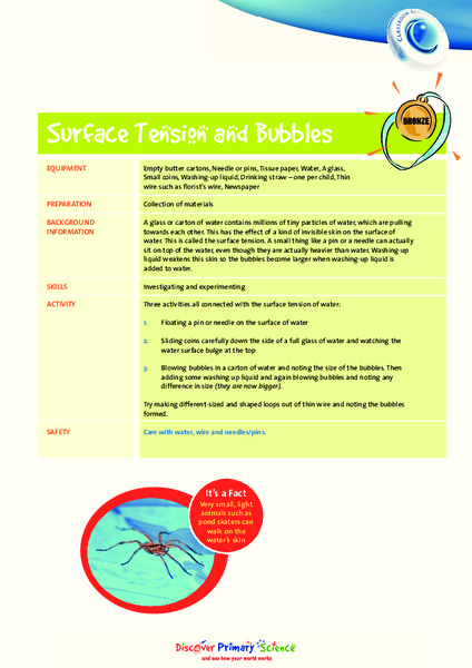 Surface Tension and Bubbles Lesson Plan