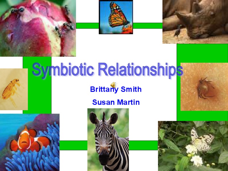 Symbiotic Relationships PPT